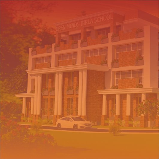 About Image